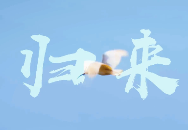 歸來