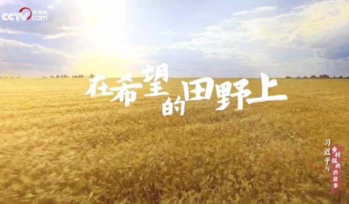 習近平與鄉村振興的故事...