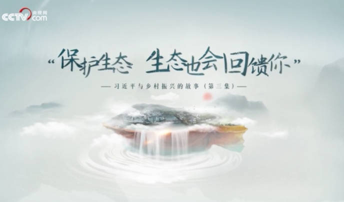 習近平與鄉村振興的故事...