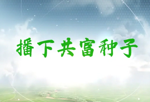 播下共富種子6