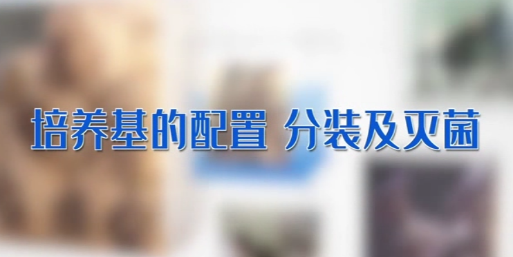 培養基的配置 分裝及滅菌12