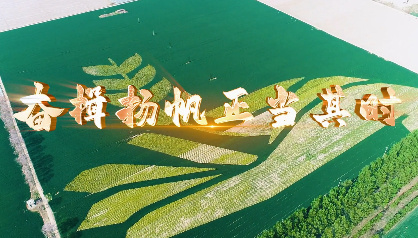 奮楫揚(yáng)帆正當(dāng)其時(shí)