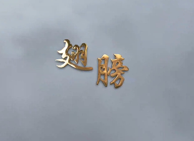 翅膀2