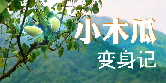 小木瓜變身記6