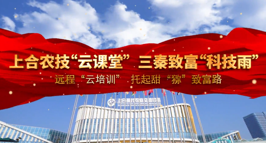 上合農技“云課堂” 三...