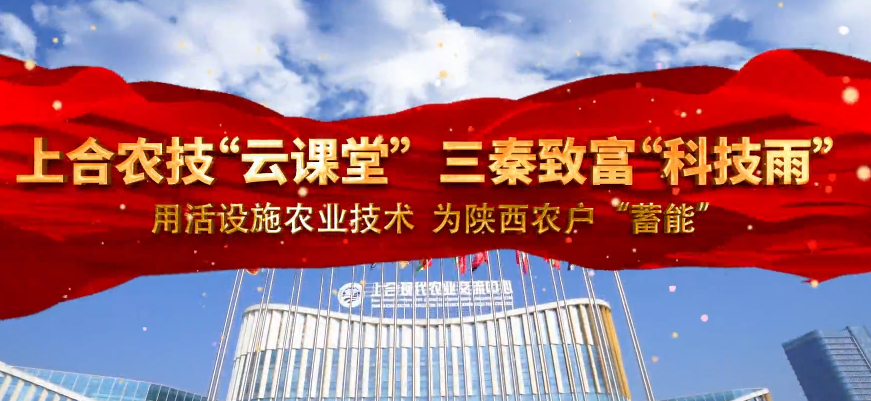 上合農技“云課堂” 三...