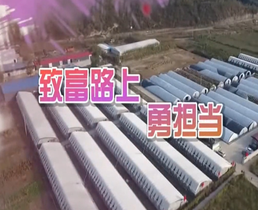致富路上 勇擔當
