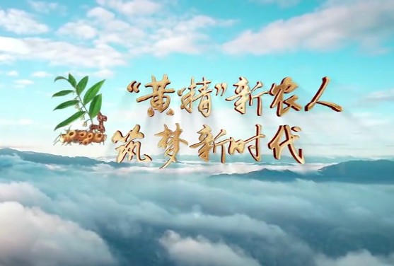 “黃精”新農(nóng)人 筑夢新時(shí)13