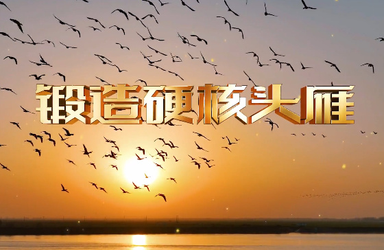 鍛造“硬核頭雁”