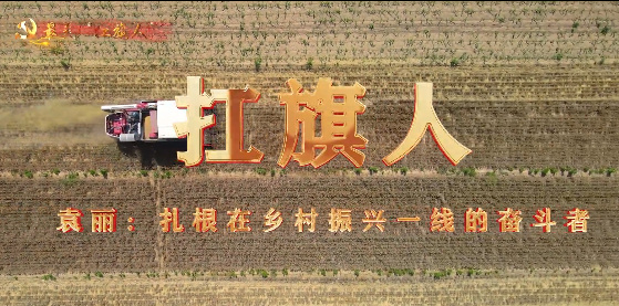 扛旗人