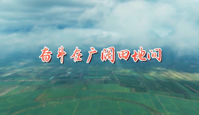 奮斗在廣闊田地間