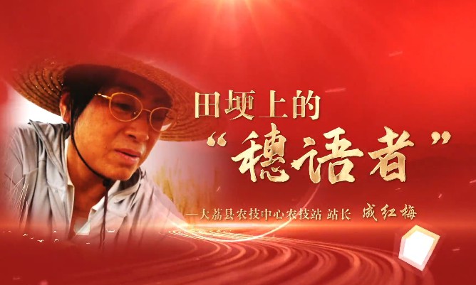田埂上的“穗語(yǔ)者”